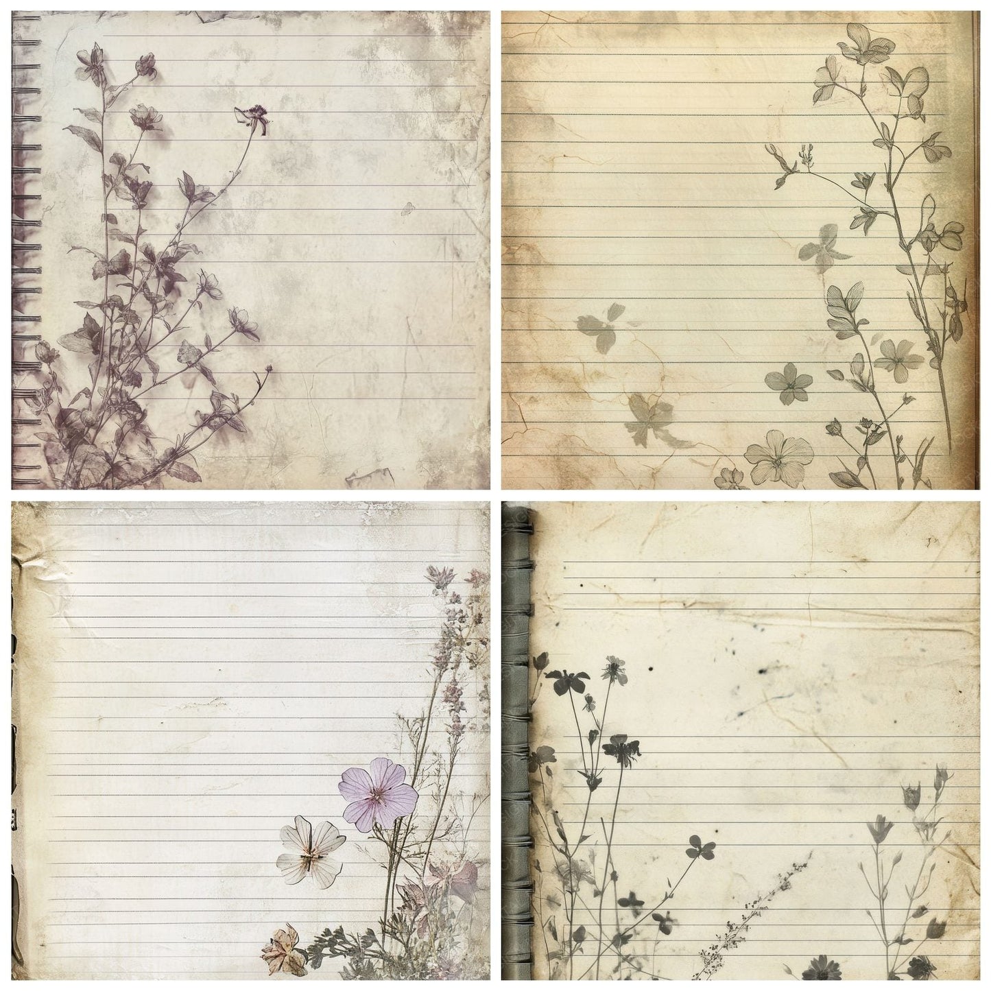 Antique Notebook Petals Digital Paper Pack (DDD000353)