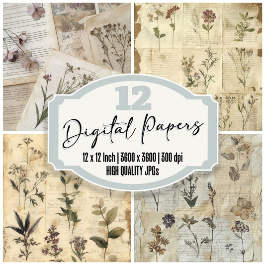 Botanical Herbarium Ink Digital Paper Pack (DDD000389)
