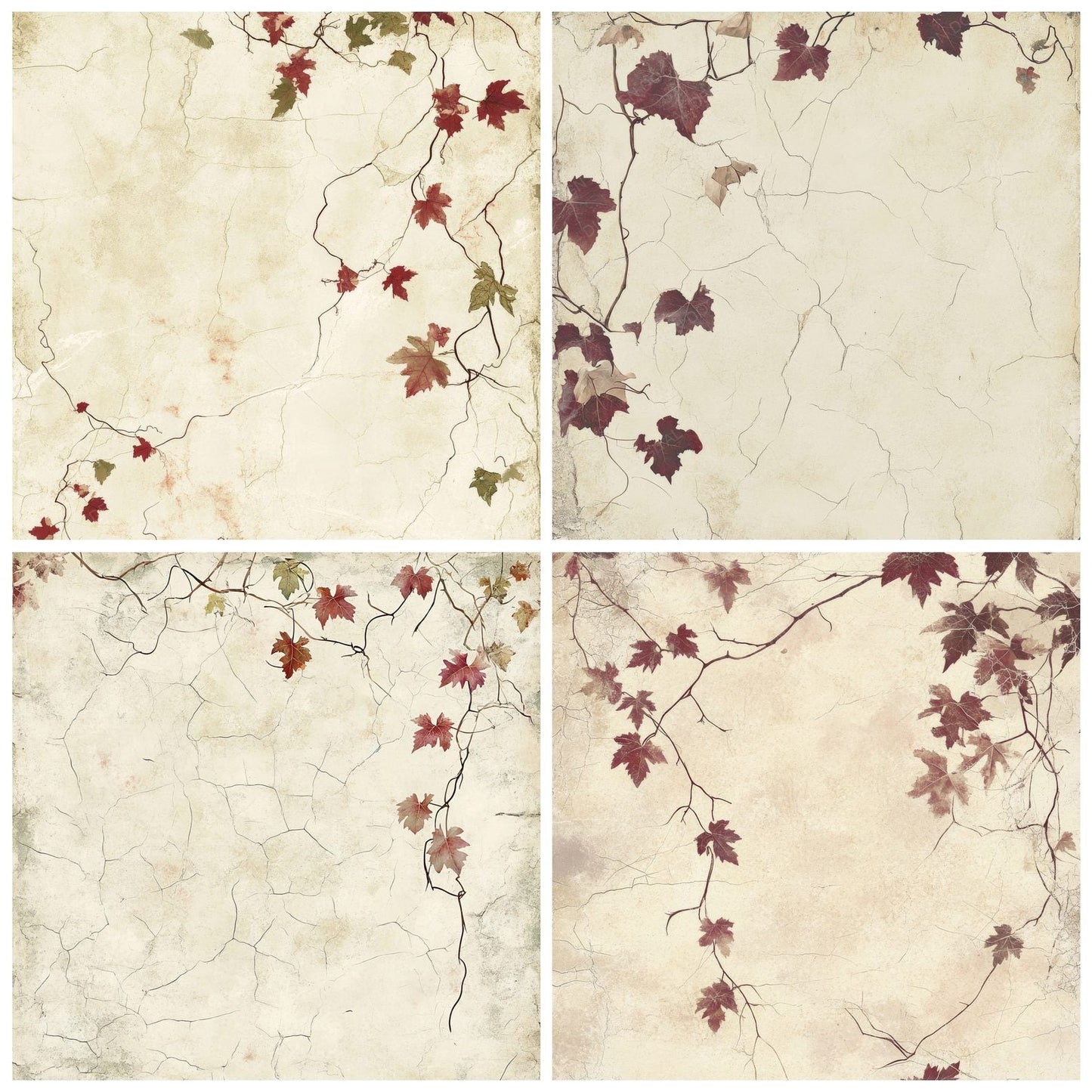 Cream Ivy and Grape Vines Digital Paper Pack (DDD000433)