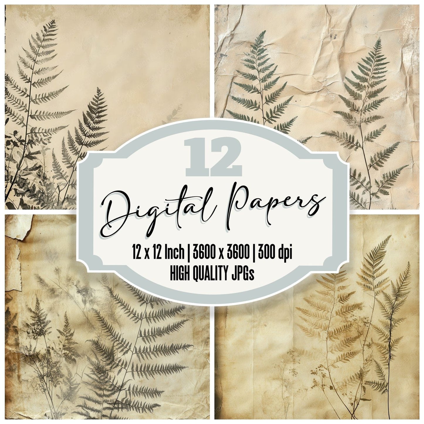 Dried Ferns Papyrus Digital Paper Pack (DDD000469)