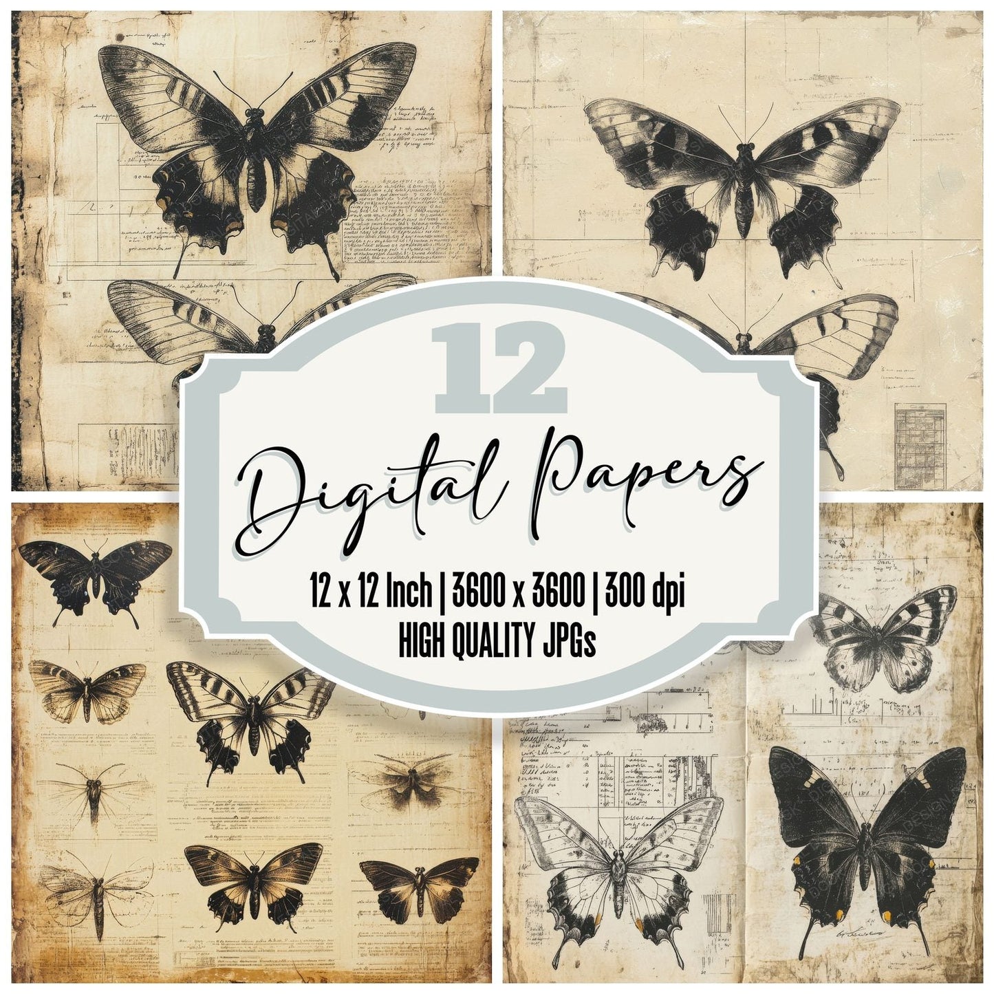 Faded Butterfly Study Digital Paper Pack (DDD000494)