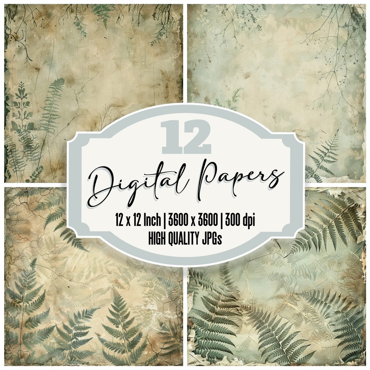 Ferns and Ivy Digital Paper Pack (DDD000507)