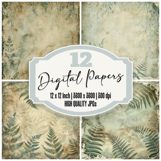 Ferns and Ivy Digital Paper Pack (DDD000507)