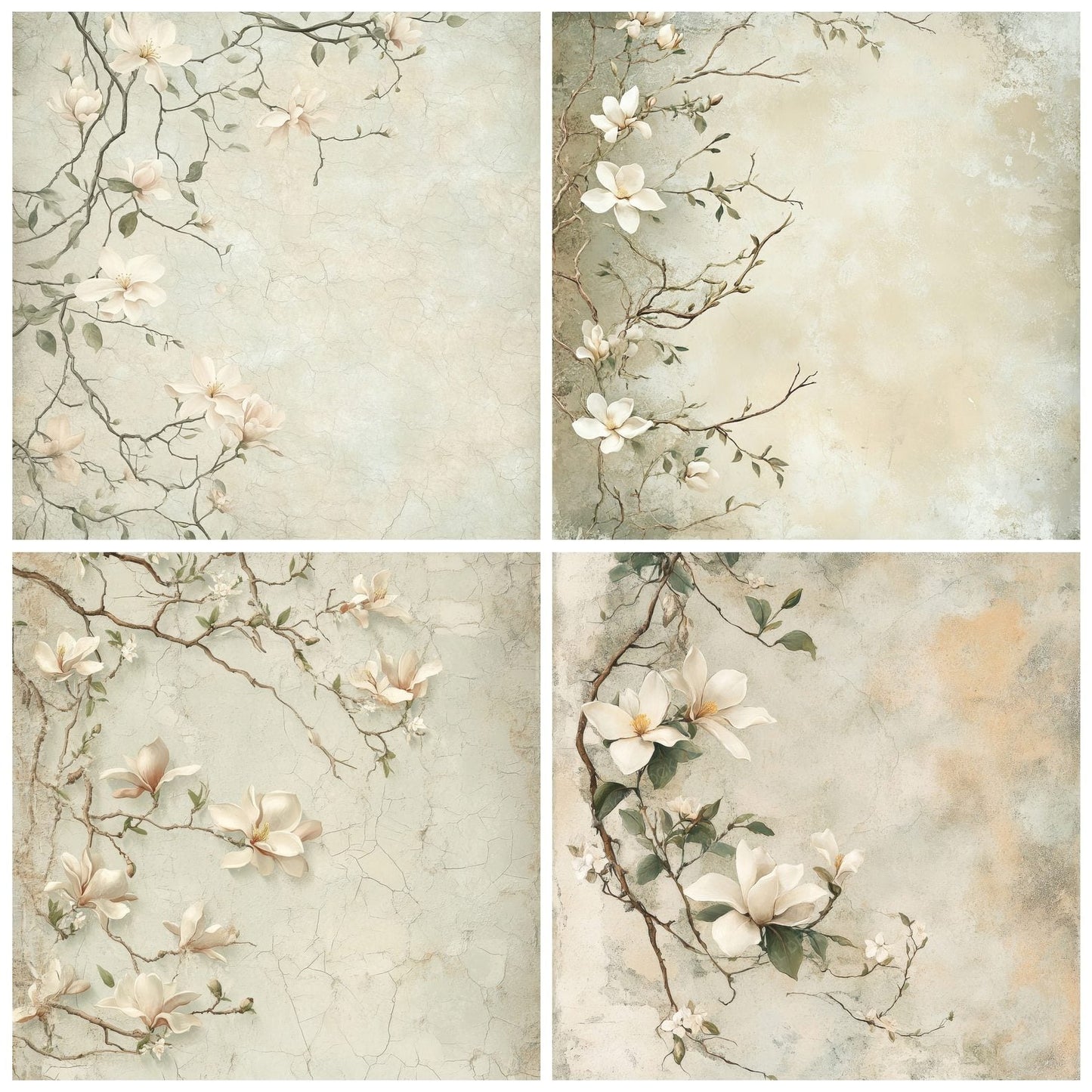 Magnolia Blossoms Background Digital Paper Pack (DDD000590)