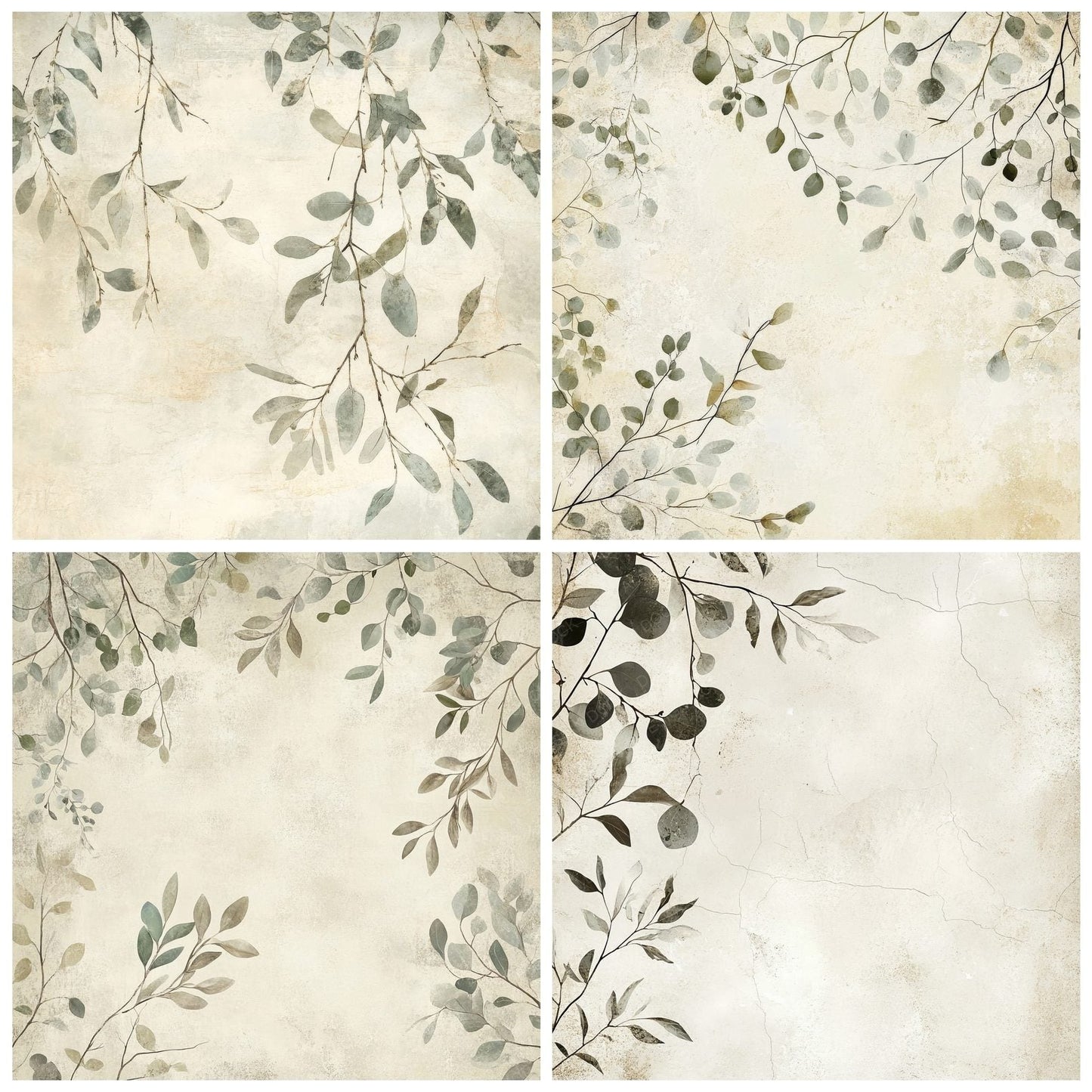 Olive Branches and Eucalyptus Leaves Background Digital Paper Pack (DDD000652)