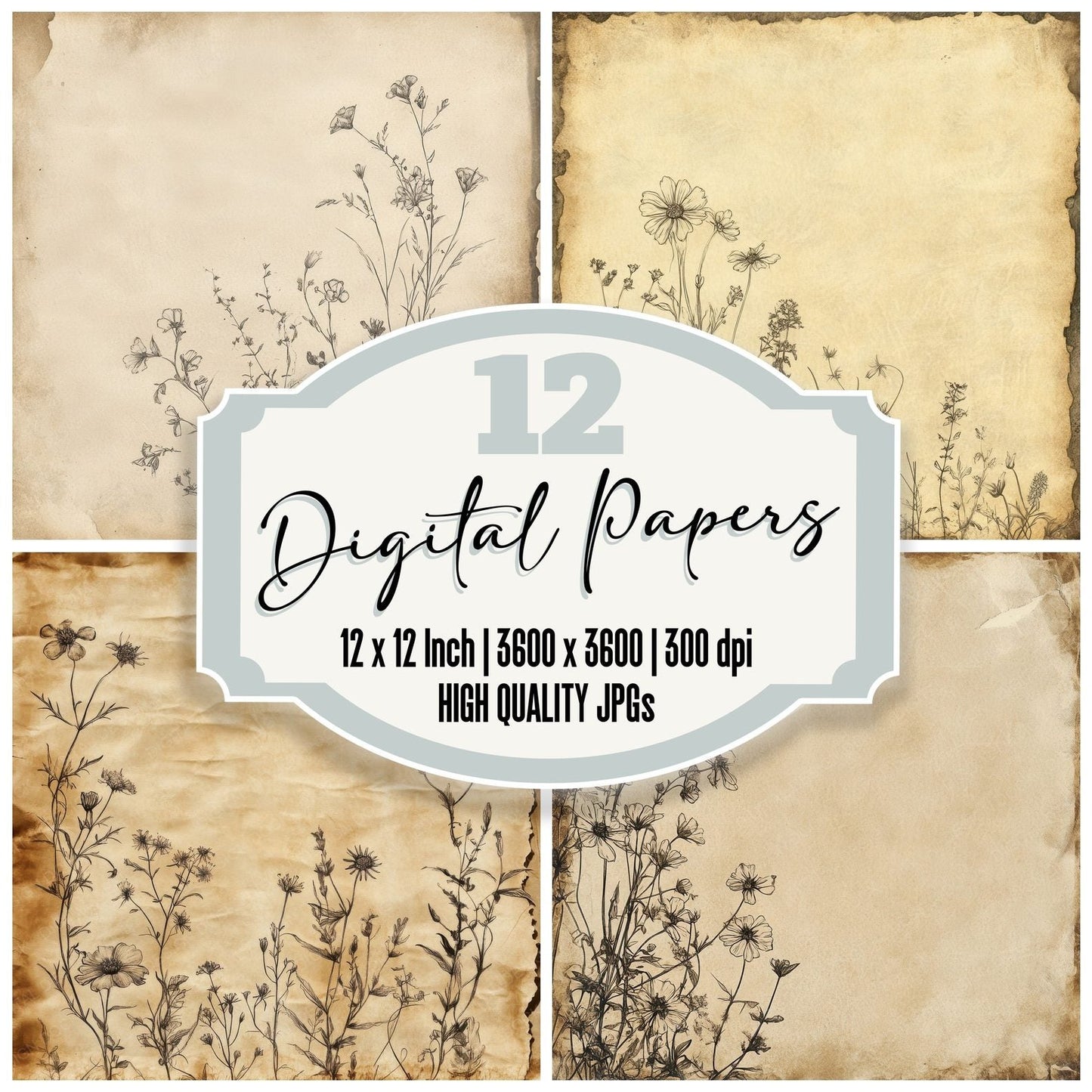 Burned Wildflower Parchment Background Digital Paper Pack (DDD000747)