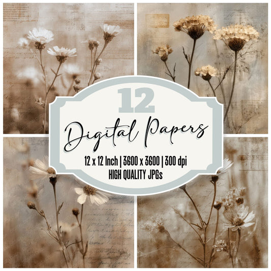 Chamomile Sepia Script Digital Paper Pack (DDD000860)