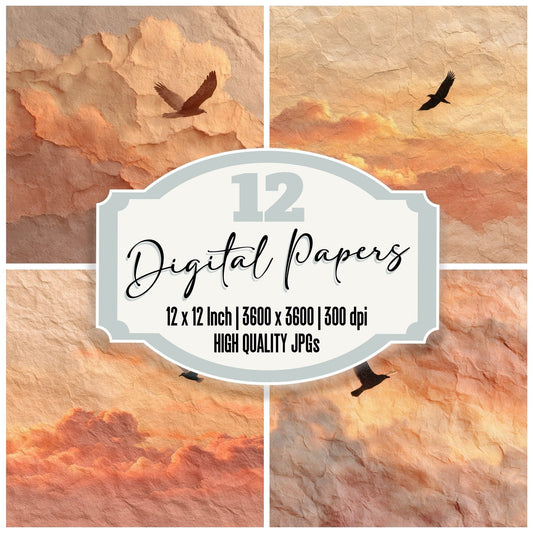 Cloud Bird Rip Digital Paper Pack (DDD000993)
