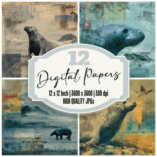 Collage Elephant Seal Oceanic Map Digital Paper Pack (DDD001055)