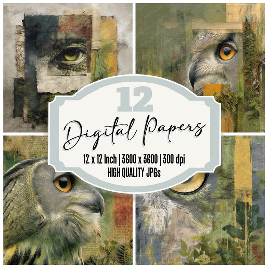 Collage Forest Owl Feathered Digital Paper Pack (DDD001065)