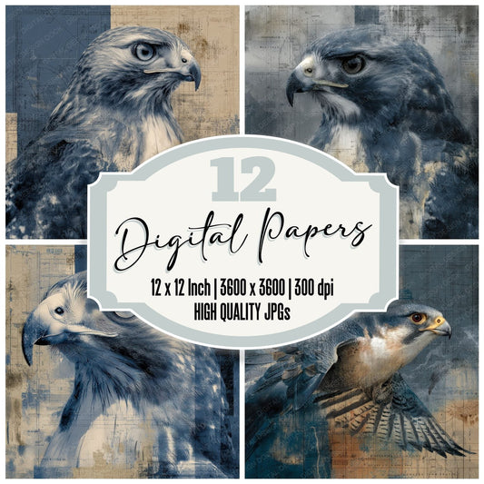 Collage Hawk Sky Print Mixed Digital Paper Pack (DDD001072)