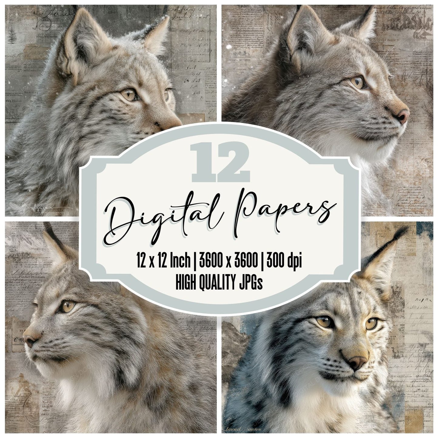 Collage Lynx Alpine Forest Digital Paper Pack (DDD001092)