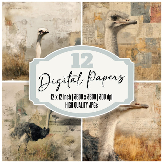 Collage Ostrich Grassland Path Digital Paper Pack (DDD001119)