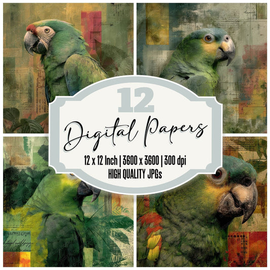 Collage Parrot Rainforest Colour Digital Paper Pack (DDD001128)
