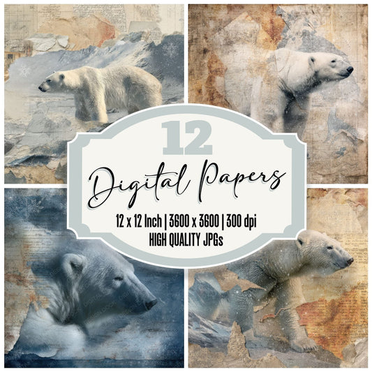 Collage Polar Bear Arctic Map Digital Paper Pack (DDD001134)