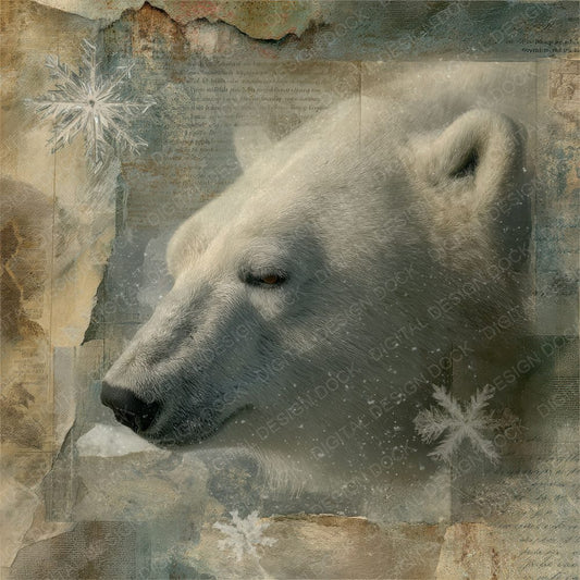 Collage Polar Bear Arctic Map Digital Paper Pack (DDD001134)