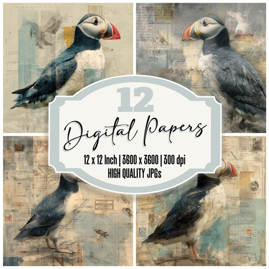 Collage Puffin Iceland Coastal Digital Paper Pack (DDD001135)
