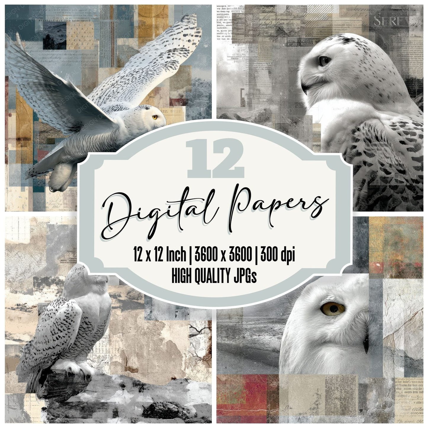Collage Snowy Owl Arctic Map Digital Paper Pack (DDD001157)