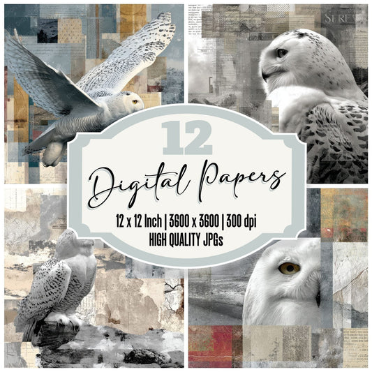 Collage Snowy Owl Arctic Map Digital Paper Pack (DDD001157)