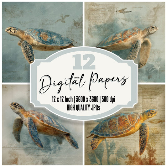 Collage Turtle Coral Coast Digital Paper Pack (DDD001171)