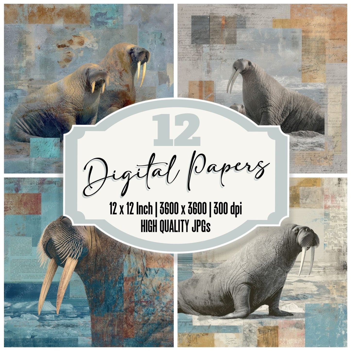 Collage Walrus Arctic Shore Digital Paper Pack (DDD001178)