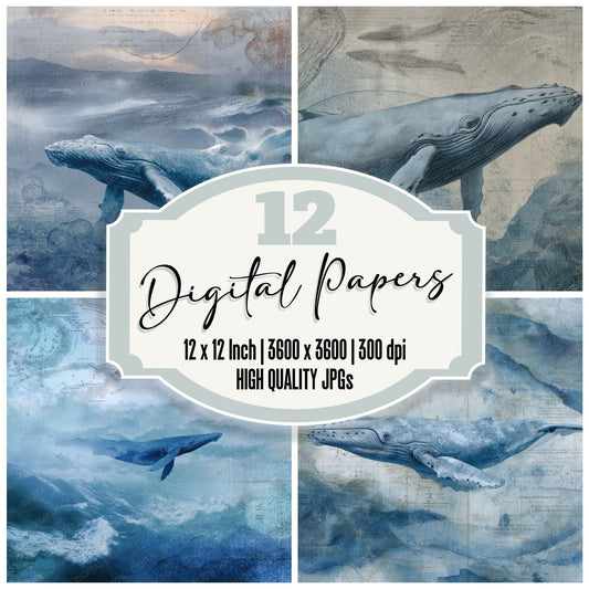 Collage Whale Ocean Map Drift Digital Paper Pack (DDD001182)