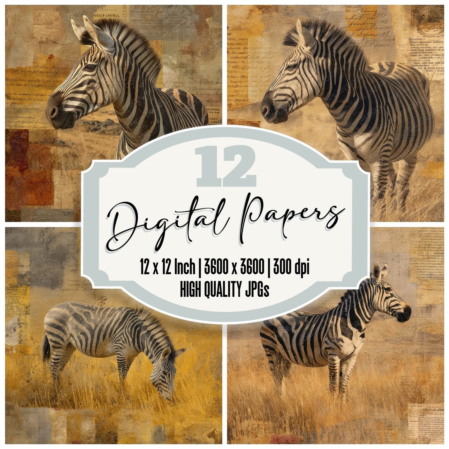 Collage Zebra African Plains Digital Paper Pack (DDD001185)
