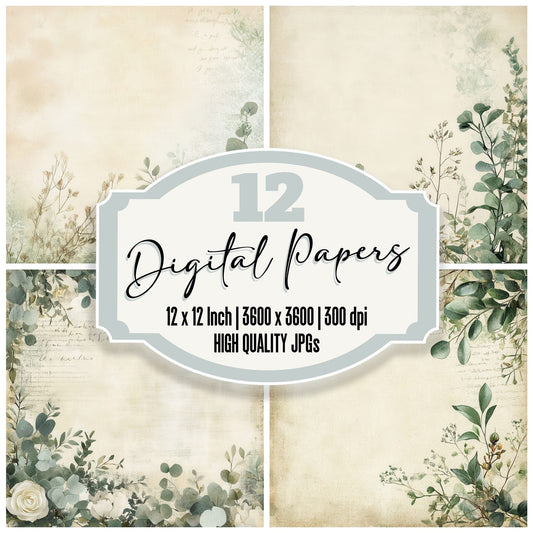 Cream Eucalyptus Lines Digital Paper Pack (DDD001319)