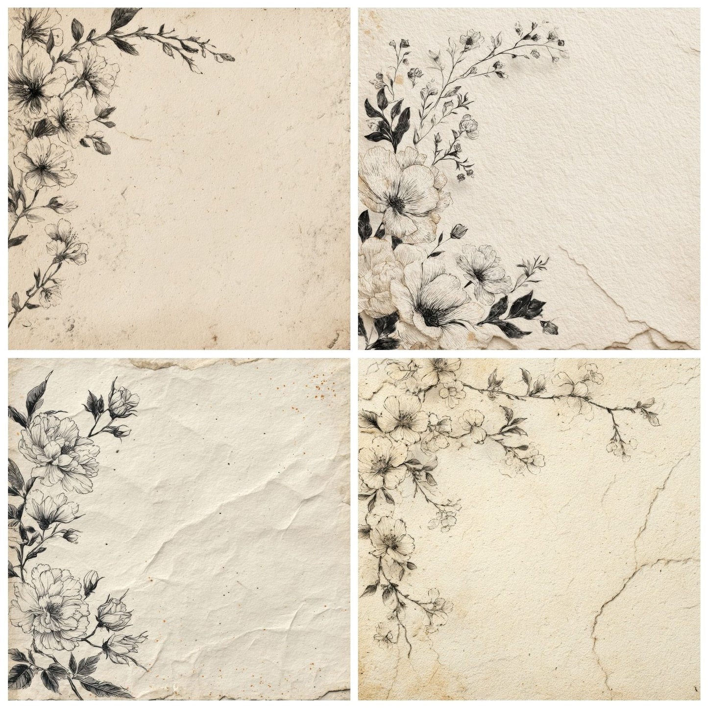 Cream Floral Sketch Digital Paper Pack (DDD001320)