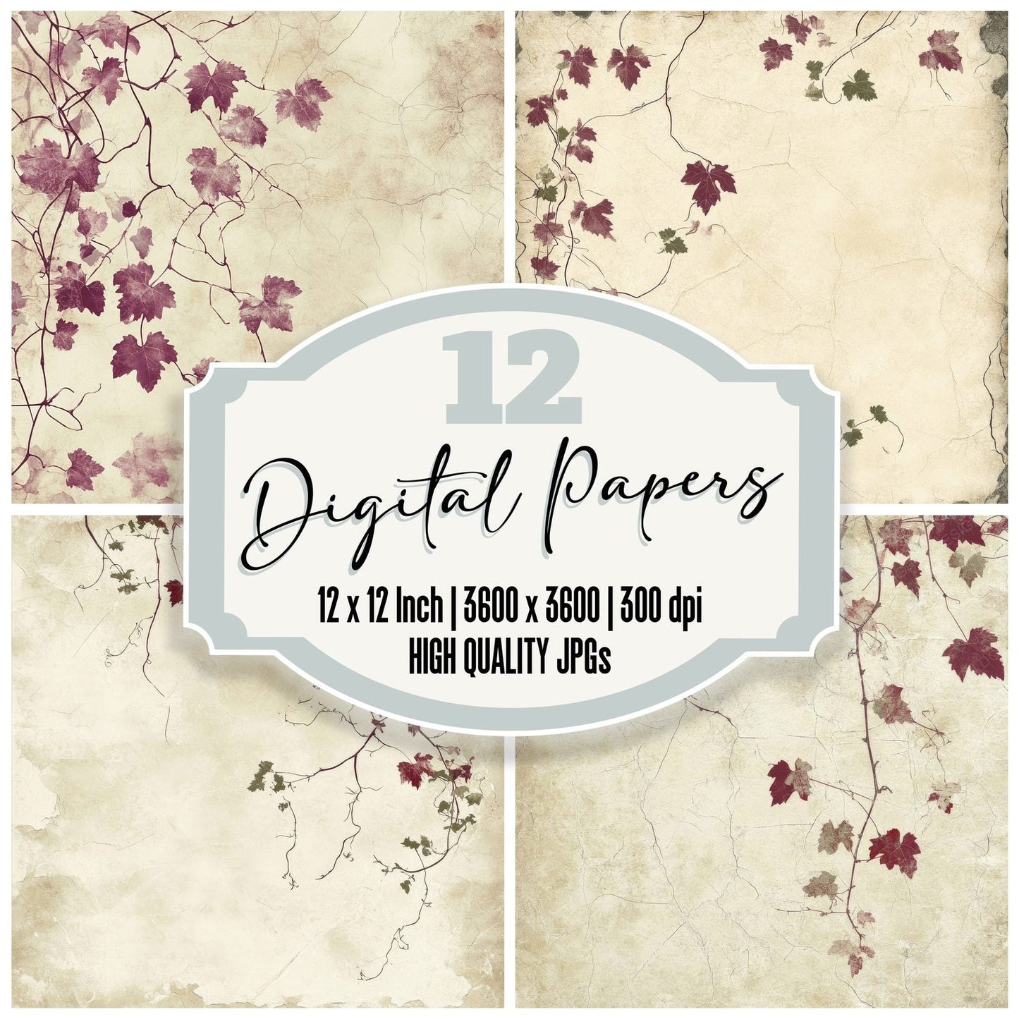 Cream Ivy and Grape Vines Digital Paper Pack (DDD001323)