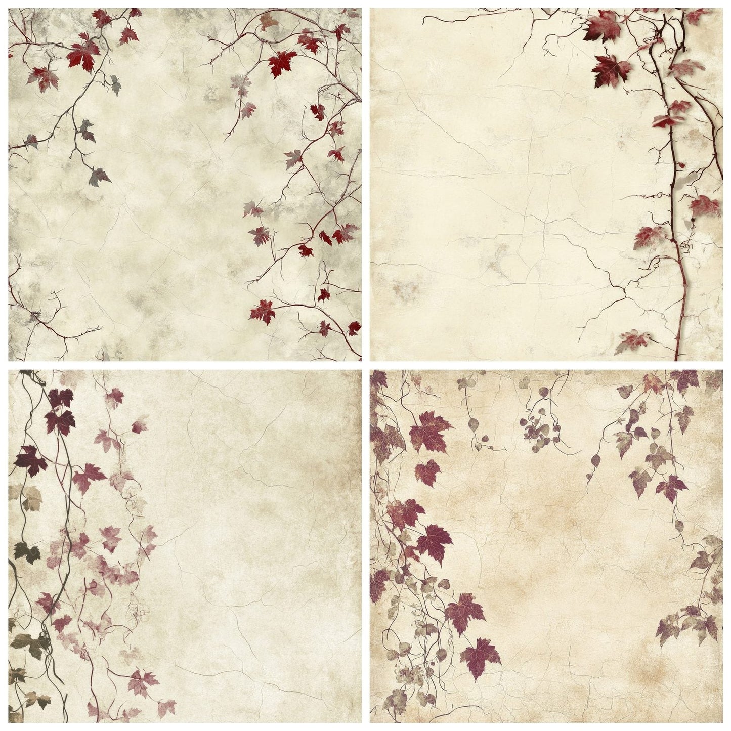 Cream Ivy and Grape Vines Digital Paper Pack (DDD001323)