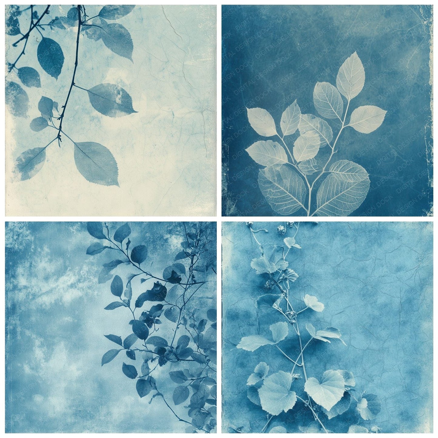 Cyanotype Leaf Film Digital Paper Pack (DDD001372)