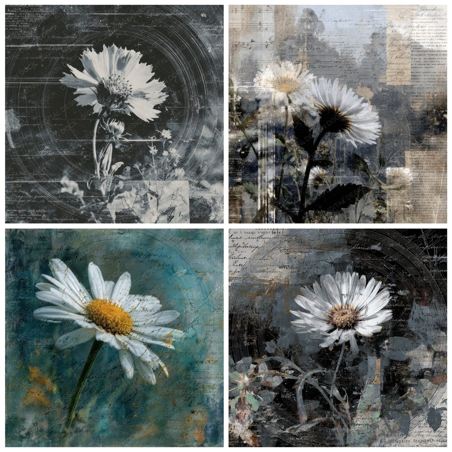 Daisy Invert Grain Digital Paper Pack (DDD001383)