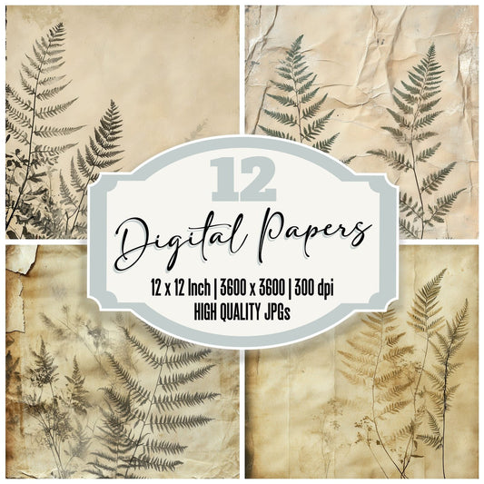 Dried Ferns Papyrus Digital Paper Pack (DDD001500)