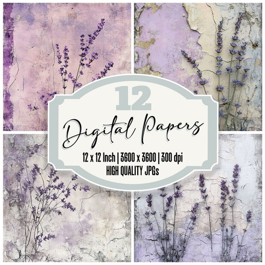 Dried Lavender Plaster Background Digital Paper Pack (DDD001501)