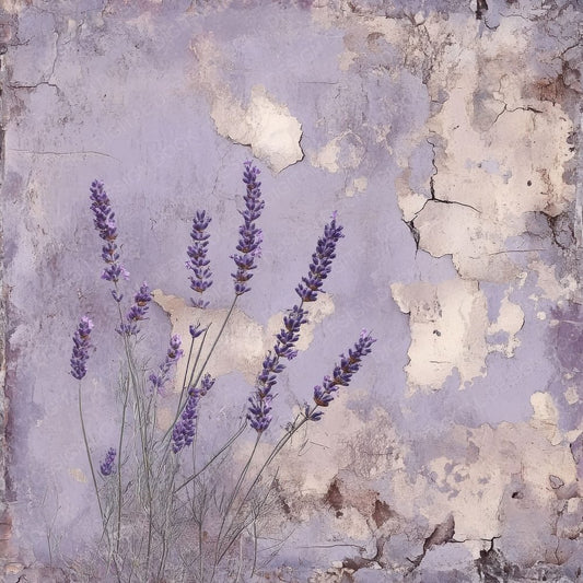 Dried Lavender Plaster Background Digital Paper Pack (DDD001501)