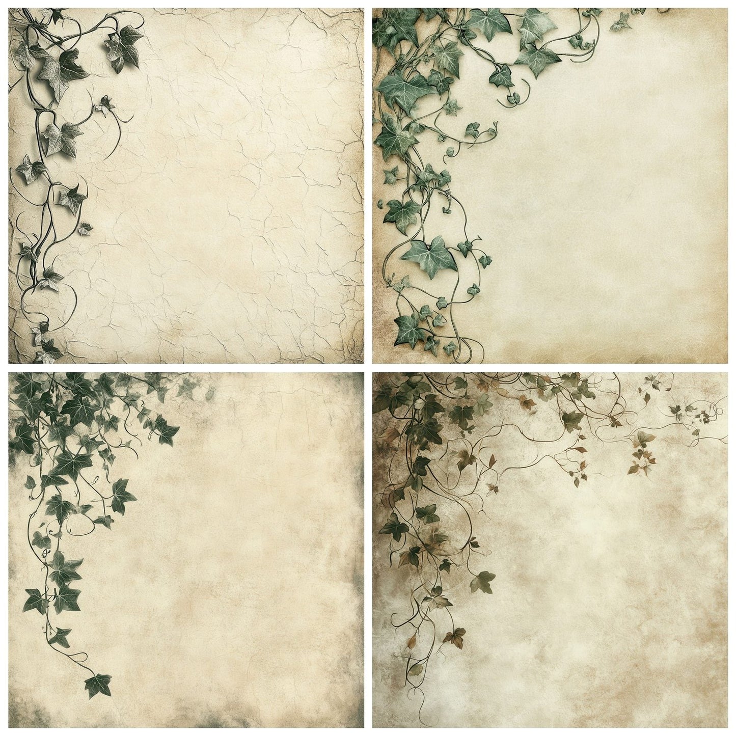 Etched Ivy Tendrils Digital Paper Pack (DDD001611)