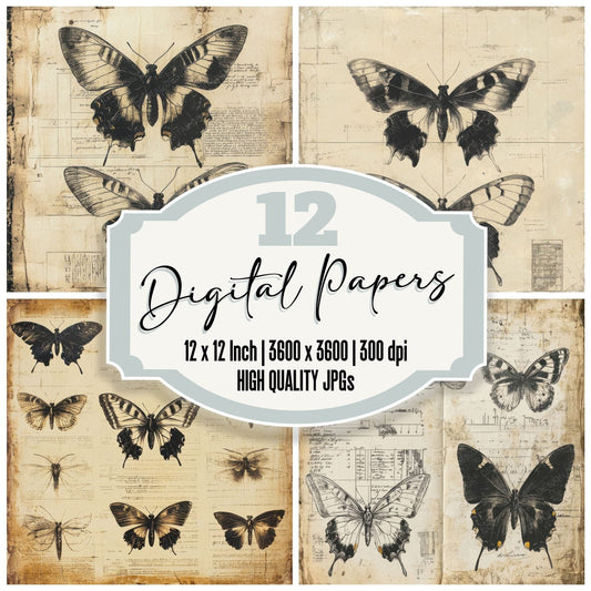 Faded Butterfly Study Digital Paper Pack (DDD001642)