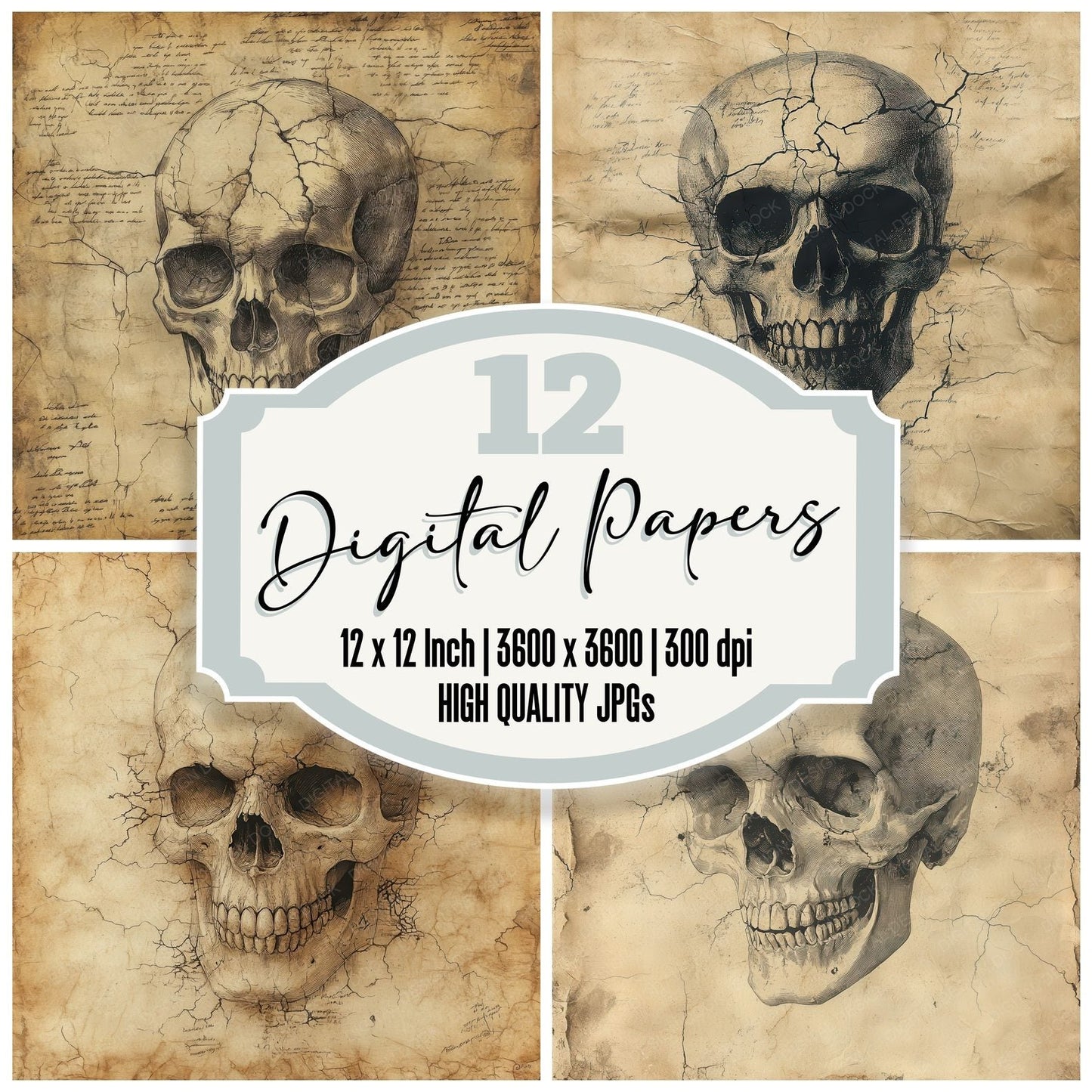 Faded Gothic Skull Digital Paper Pack (DDD001646)