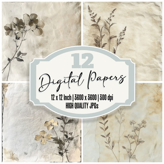 Faded Herbarium Pages Background Digital Paper Pack (DDD001655)