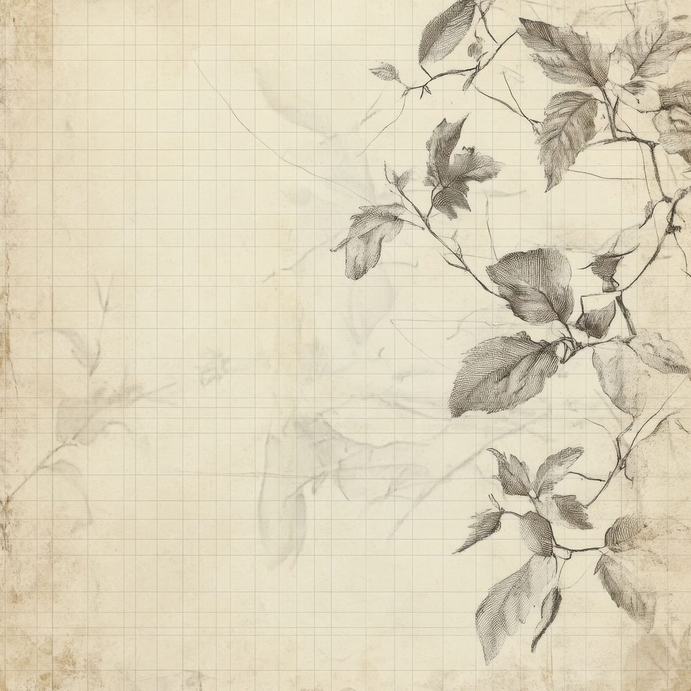 Faint Botanical Grid Digital Paper Pack (DDD001678)