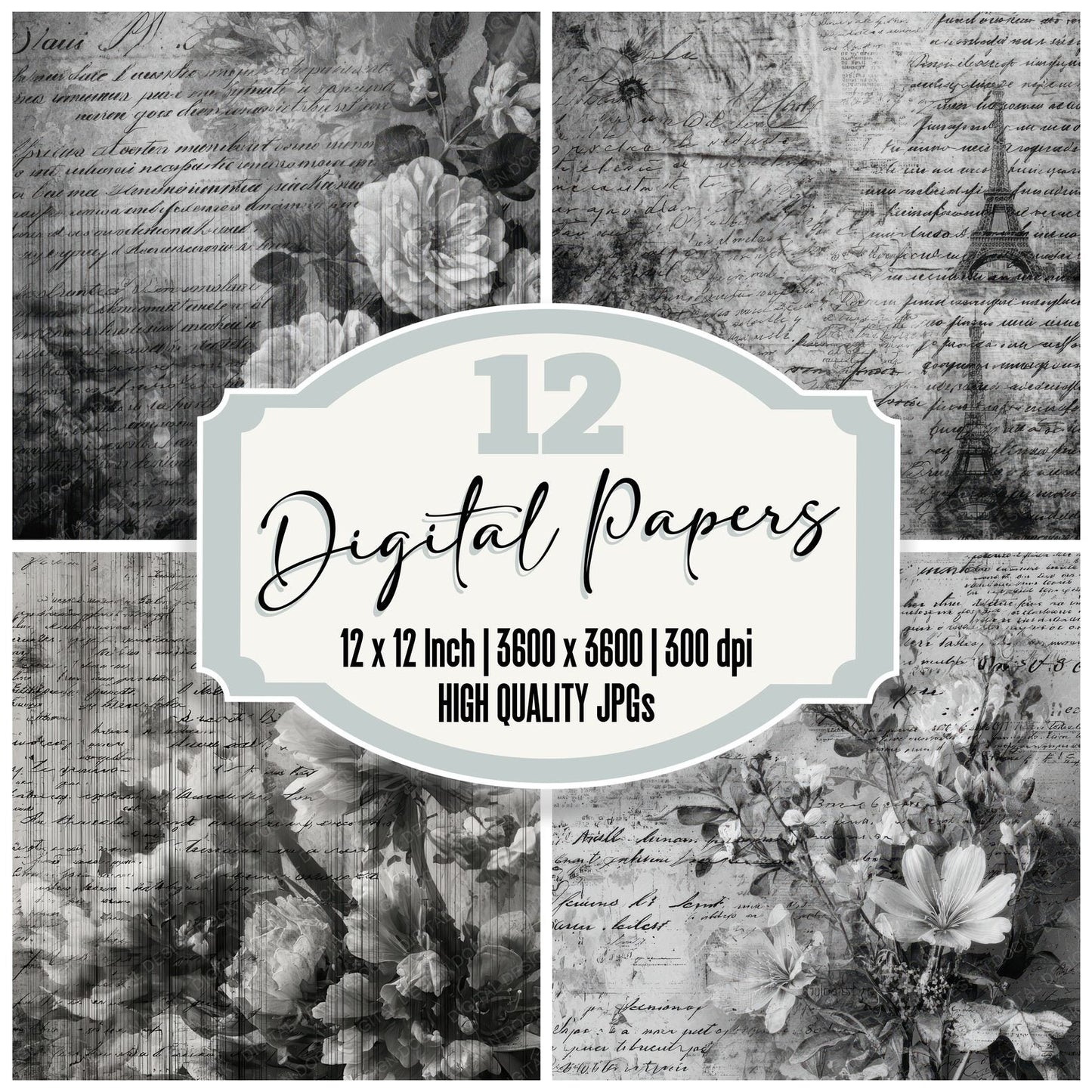 Film Flora Script Digital Paper Pack (DDD001704)