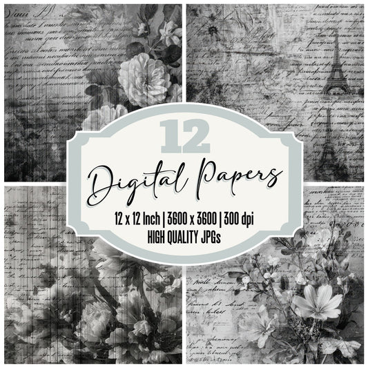 Film Flora Script Digital Paper Pack (DDD001704)
