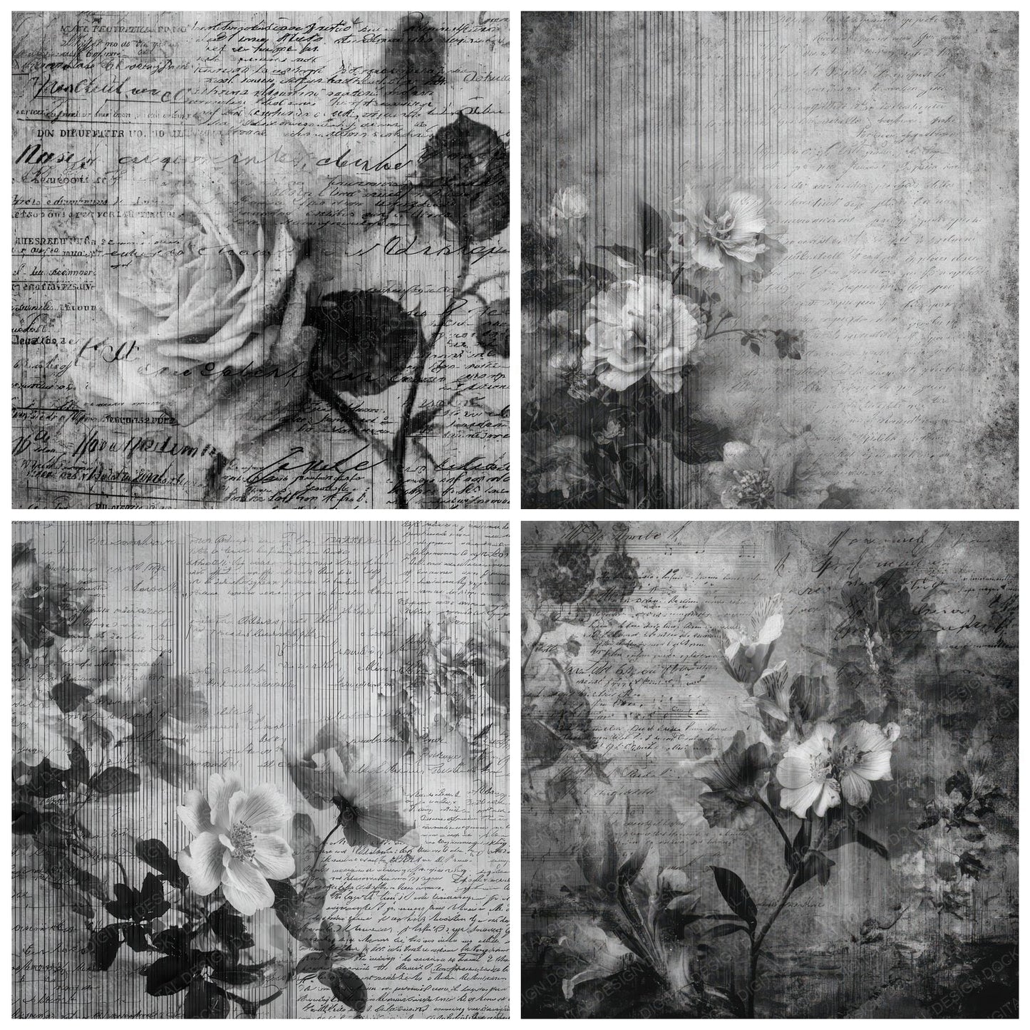 Film Flora Script Digital Paper Pack (DDD001704)