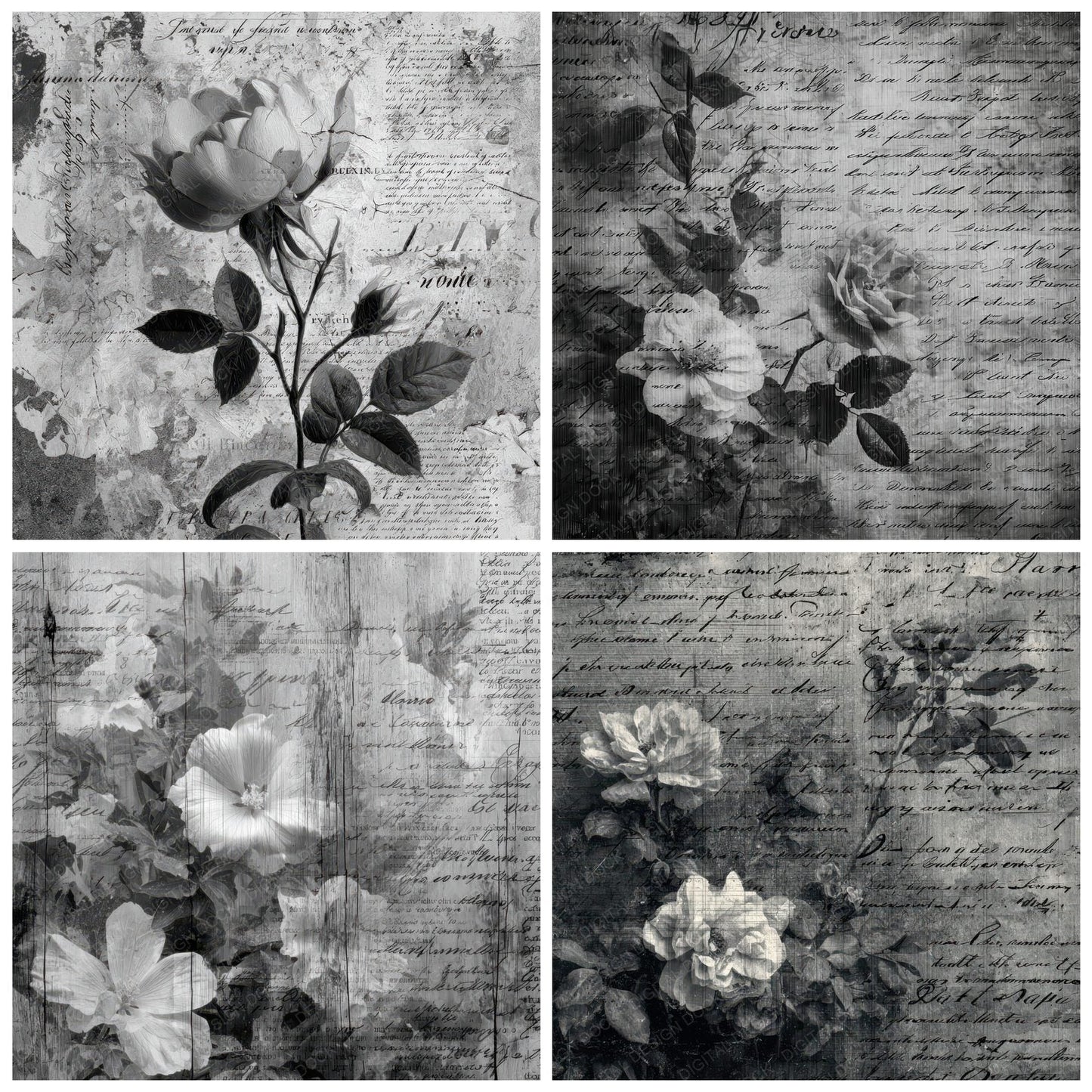 Film Flora Script Digital Paper Pack (DDD001704)