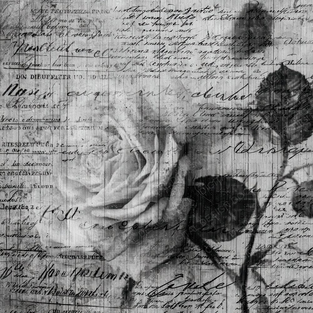 Film Flora Script Digital Paper Pack (DDD001704)