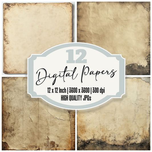 Fossil Drift Frame Digital Paper Pack (DDD001785)