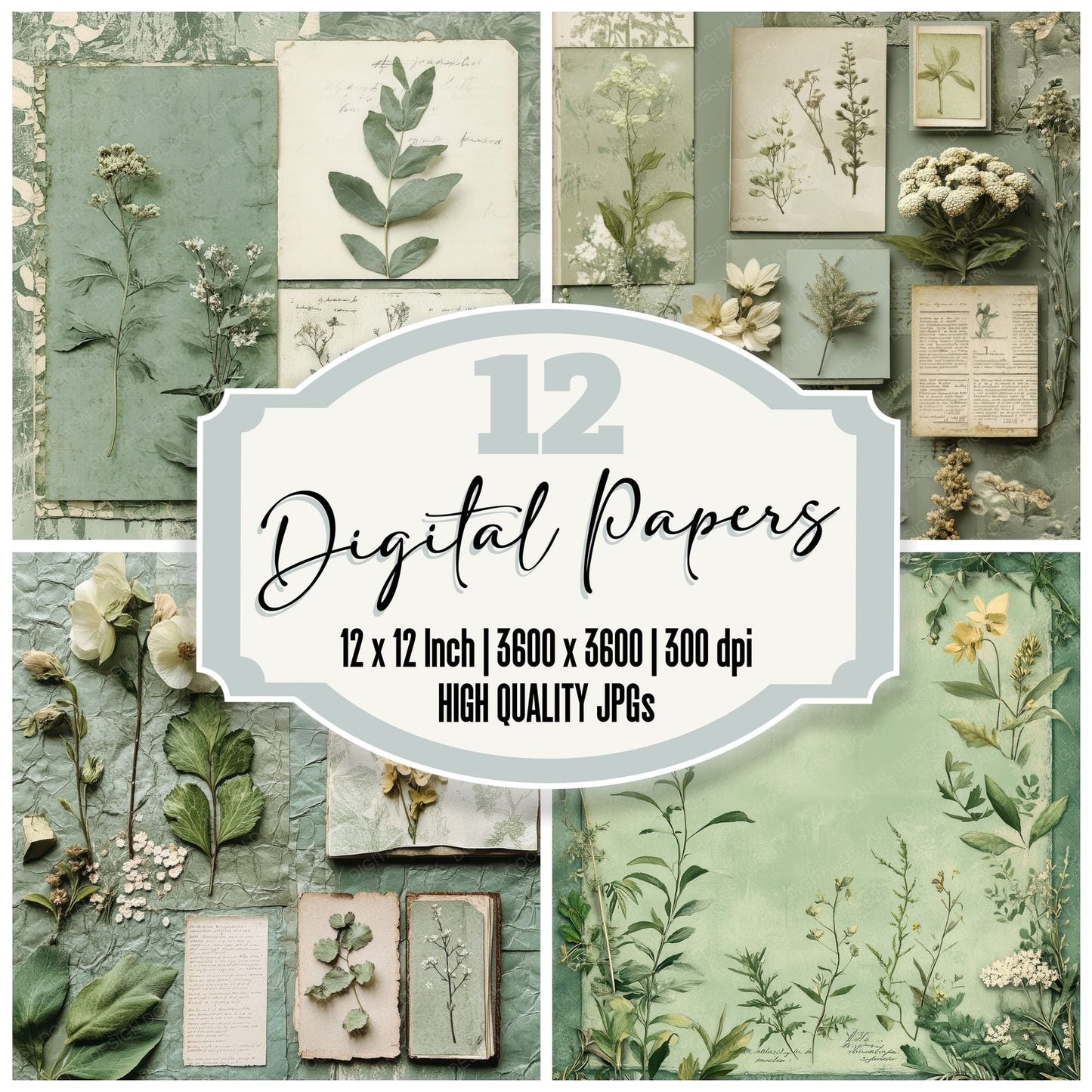 Herbarium Label Frame Digital Paper Pack (DDD002010)