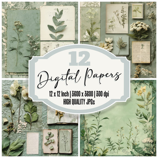 Herbarium Label Frame Digital Paper Pack (DDD002010)
