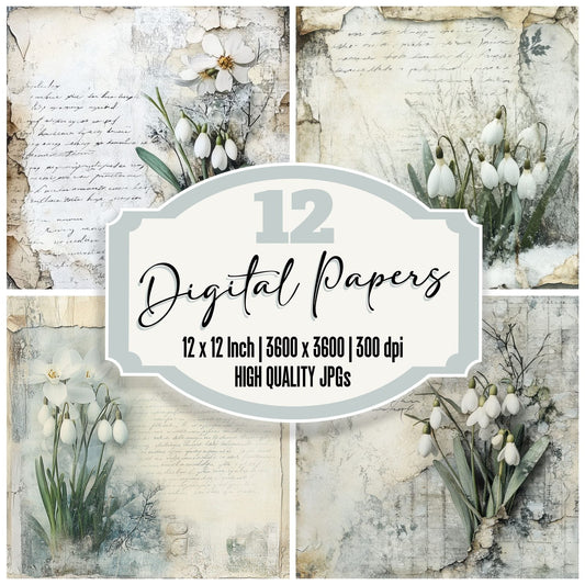 Hiraeth Snowdrop Frost Digital Paper Pack (DDD002019)